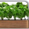 EDN SmallGarden with Basil SeedPods, Indoor Grow Smart Garden for iOS Devices - Fresh Home Grown Herbs, Plants and Flowers - Grow up to 10 Different Plants at Once - Image 4