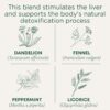 Traditional Medicinals Tea, Organic EveryDay Detox Dandelion, Supports Healthy Liver & Kidney Function, Detox, 16 Tea Bags - Image 4