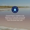Trace Minerals ConcenTrace Trace Mineral Drops - Liquid Supplement for Bone & Joint Support - Aids Hydration & Electrolyte Restoration - Unflavored-Original, 8 fl oz (96 Servings) - Image 9