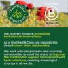 Traditional Medicinals Tea, Organic EveryDay Detox Dandelion, Supports Healthy Liver & Kidney Function, Detox, 16 Tea Bags - Image 9
