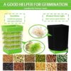 4-Tier Seed Sprouting Kit with Drain Holes and Drain Tray, Upgrade Stackable Microgreens Fresh Organic Bean Seed Sprouter Tray Ripple Soil-Free Sprouter Tray for Beans Alfalfa Seeds - Image 7