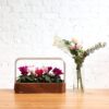 EDN SmallGarden with Basil SeedPods, Indoor Grow Smart Garden for iOS Devices - Fresh Home Grown Herbs, Plants and Flowers - Grow up to 10 Different Plants at Once - Image 3