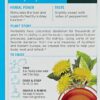 Traditional Medicinals Tea, Organic EveryDay Detox Dandelion, Supports Healthy Liver & Kidney Function, Detox, 16 Tea Bags - Image 3
