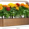 EDN SmallGarden with Basil SeedPods, Indoor Grow Smart Garden for iOS Devices - Fresh Home Grown Herbs, Plants and Flowers - Grow up to 10 Different Plants at Once - Image 6