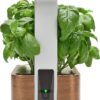EDN SmallGarden with Basil SeedPods, Indoor Grow Smart Garden for iOS Devices - Fresh Home Grown Herbs, Plants and Flowers - Grow up to 10 Different Plants at Once - Image 5